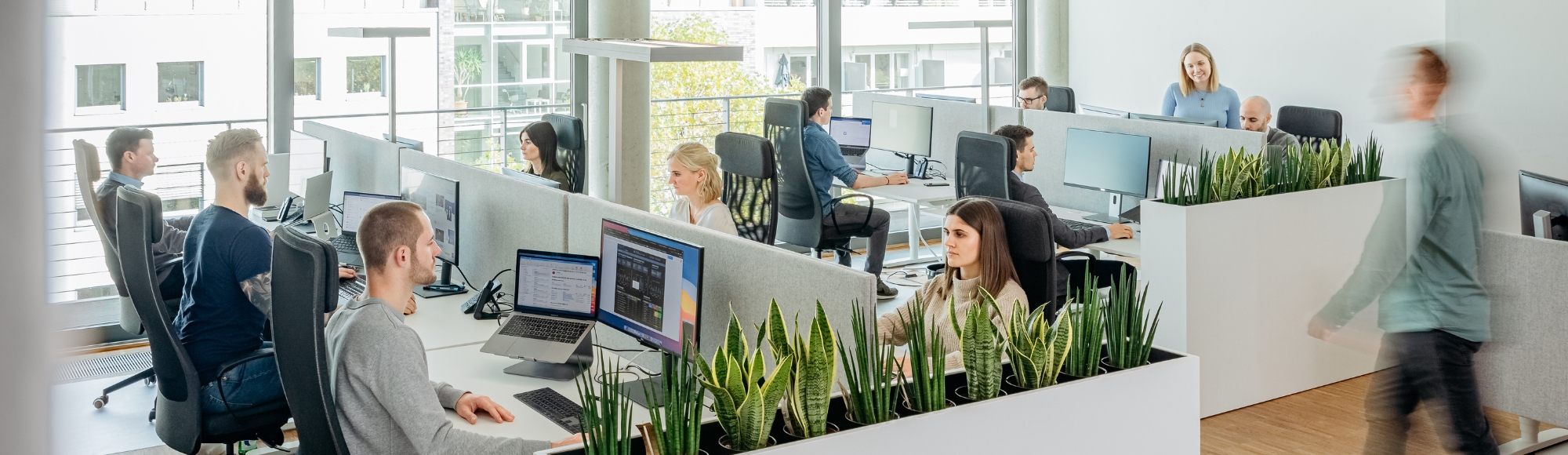 DREIKON GmbH & Co. KG Profilbild
